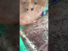 Συγκόλληση δεξαμενής νερού με μηχανή συγκόλλησης ραφής